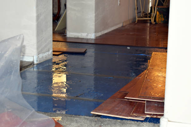 Professional Emergency Water Damage Restoration technician working in Rice, WA